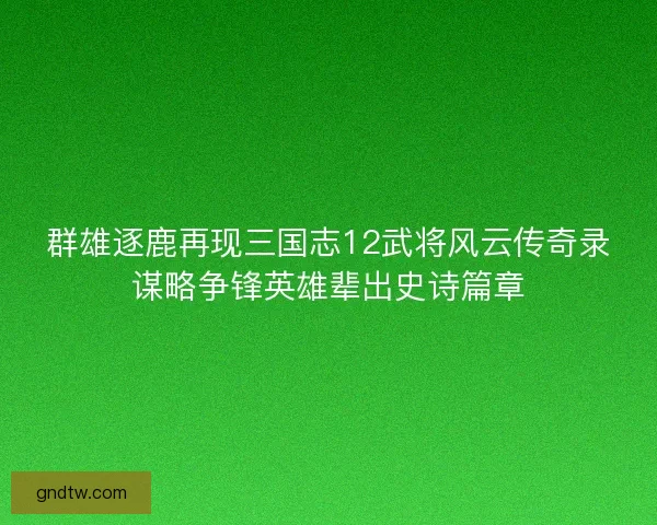 群雄逐鹿再现三国志12武将风云传奇录谋略争锋英雄辈出史诗篇章