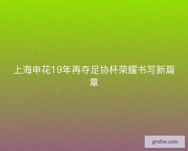 上海申花19年再夺足协杯荣耀书写新篇章