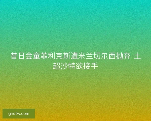 昔日金童菲利克斯遭米兰切尔西抛弃 土超沙特欲接手